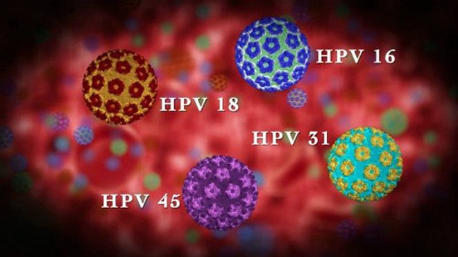 Vrus HPV